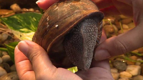 Gejzír - 26. listopadu 2014