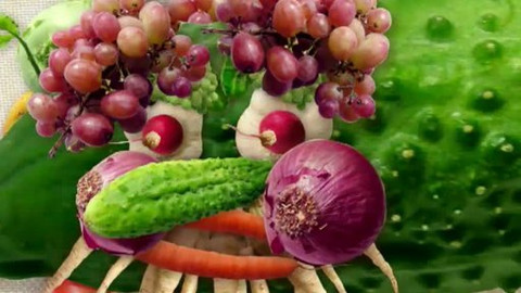 České pexeso - 3/14 Jihomoravský kraj