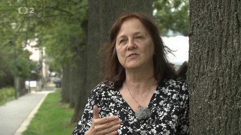 Nedej se! - Mizející aleje