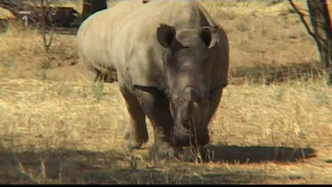 Zprávičky - 16. října 2010