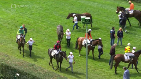 Dostihy - III. kvalifikace na 132. Velkou pardubickou se Slavia pojišťovnou