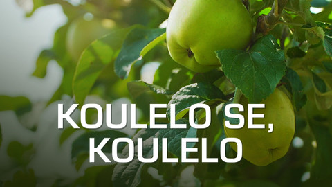 Koulelo se, koulelo