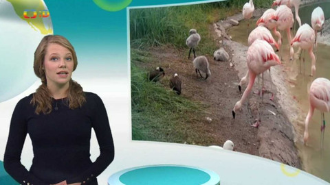 Zprávičky - 1. října 2017