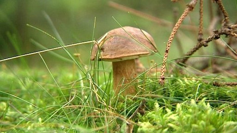 Turbulence - 21. srpna 2011