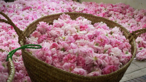 Postřehy odjinud - Omán očima Štěpána Macháčka