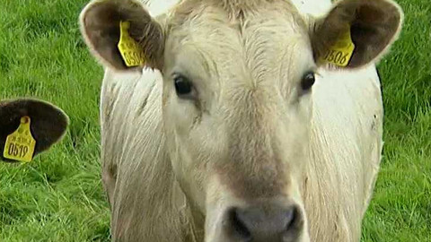 Popularis - 27. února 2003