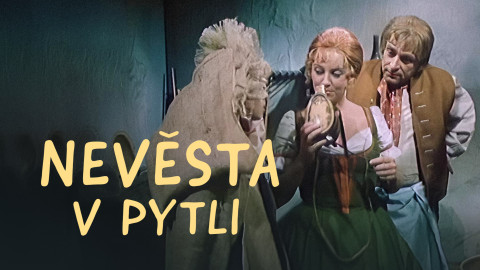 Nevěsta v pytli