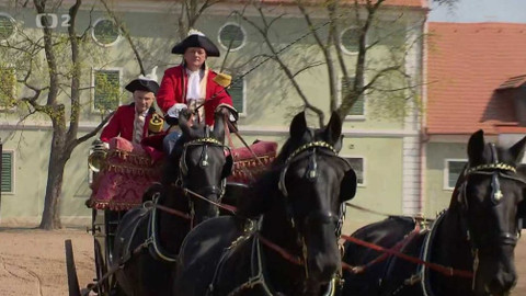 Cesty víry - Koně ve službách církve