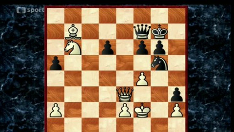 V šachu - 5. května 2013