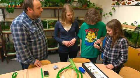 Náš zvěřinec - Nejen krokodýl z řeky Nil