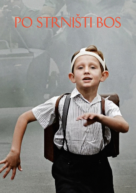 Po strništi bos