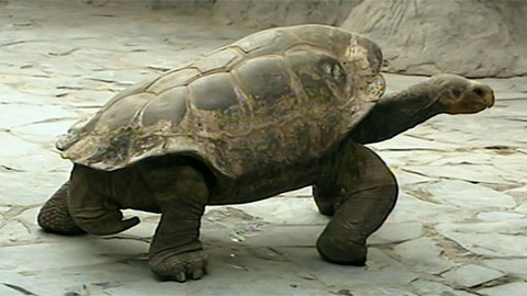 Toulavá kamera - 9. prosince 2012