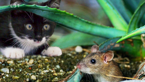 Polopatě - 1. září 2024