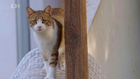 Máme rádi zvířata - 18. března 2024