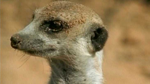 Objektiv - 31. července 2005