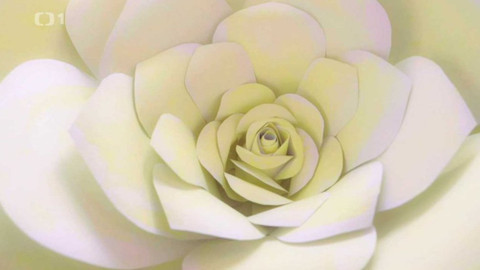 Všechno, co mám ráda - Epizoda 60/45