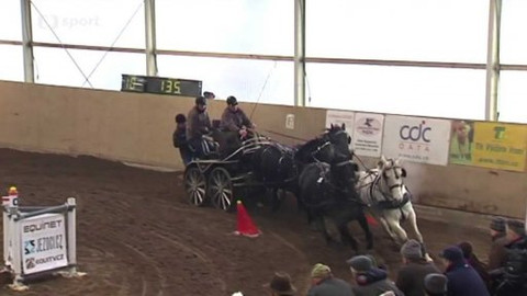 Jezdectví - Zimní Jezdecký pohár spřežení Trojanovice