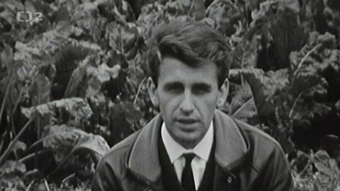 Zvědavá kamera - Záhada pro šest generací