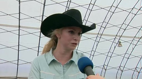 Jezdectví - Jezdecké závody v reiningu Krakovany 2013