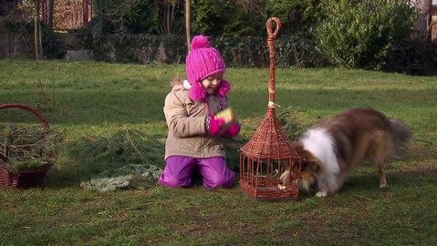 Moje zahrádka - Zahrádka jde spát