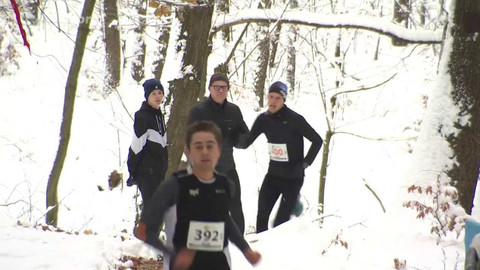 Sport v regionech - Malá cena Velké Verandy