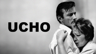 Ucho