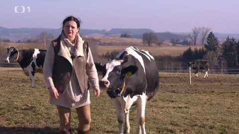 Černé ovce - 4. března 2014