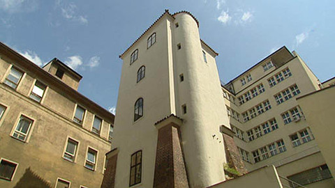 Z metropole - 20. července 2013