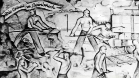 Wiadomości w języku polskim - 8. února 2015