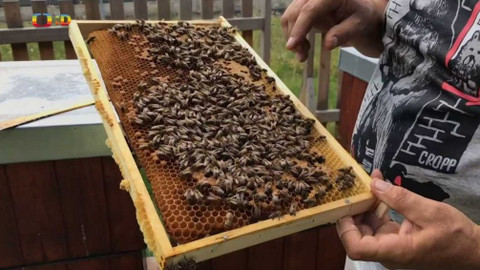 Zprávičky - 14. července 2020