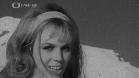 Brněnské kolo - 12. prosince 1994