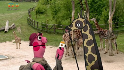 TvMiniUni - 17/38 Speciální díl ze zoologické zahrady