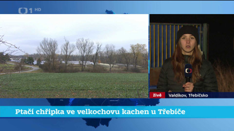 Události v regionech (jih a západ) - 11. listopadu