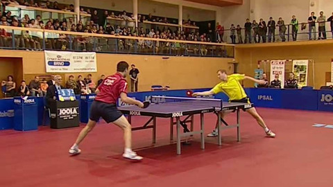 Stolní tenis - Česko - Švédsko