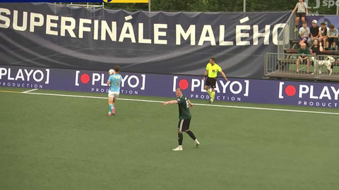 Superliga malého fotbalu - Hanspaulka Praha - Partyzan Příbram