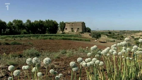 Objektiv - 2. září 2012