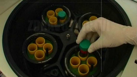 PORT - 2. května 2007