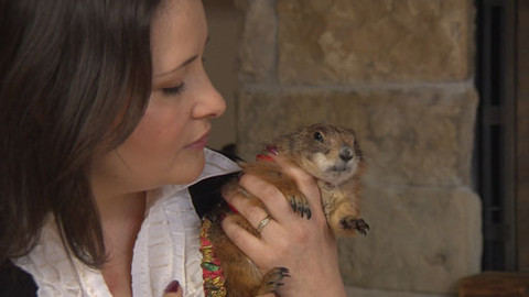 Hobby naší doby - 11. května 2013