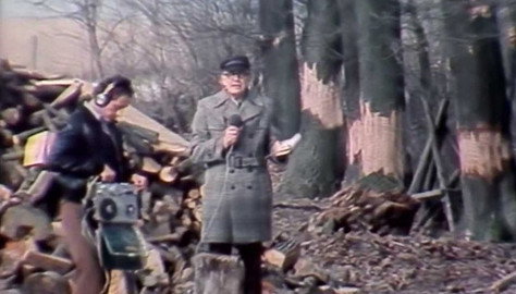Archiv dne - 30. březen 1984: Jak se zbavit stromu