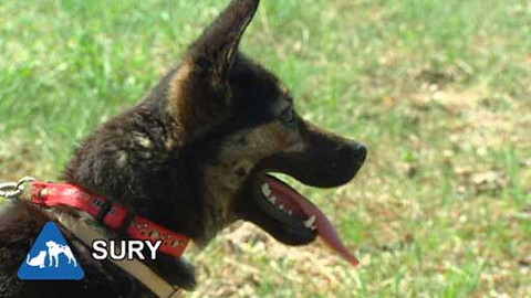 Chcete mě? - Chcete je?