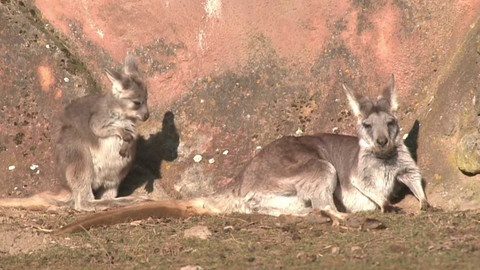 Tamtam - 15. března