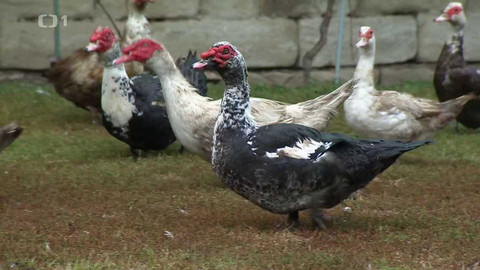 Polopatě - 2. října 2022