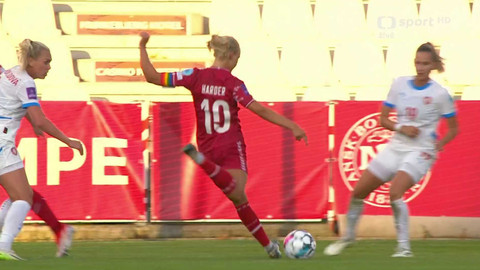 Fotbal - Dánsko - Česko