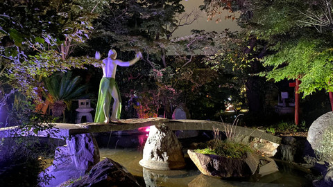 Spojené národy tance - Japonsko