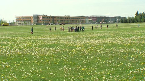 Nedej se! - Komerční centrum na Vypichu
