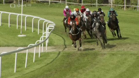 Dostihy - 43. Turf-gala