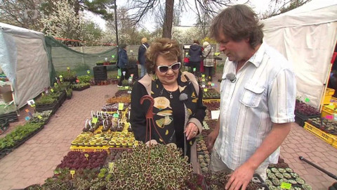 Hobby naší doby - 25. května 2019