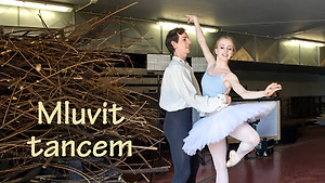 Obrázek pořadu Mluvit tancem