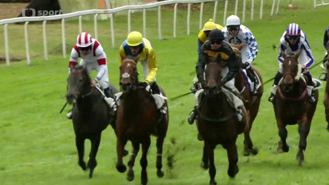 Velká pardubická - Velká cena města Pardubic