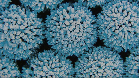 Nedej se! - Rakovinotvorné nanočástice